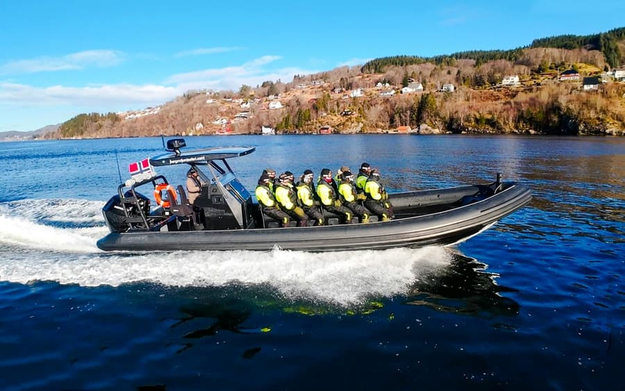 Z Bergenu: Premium RIB Safari po Alversundském fjordu