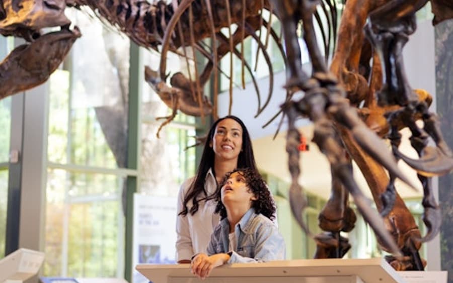 Witte Museum: Entry Ticket