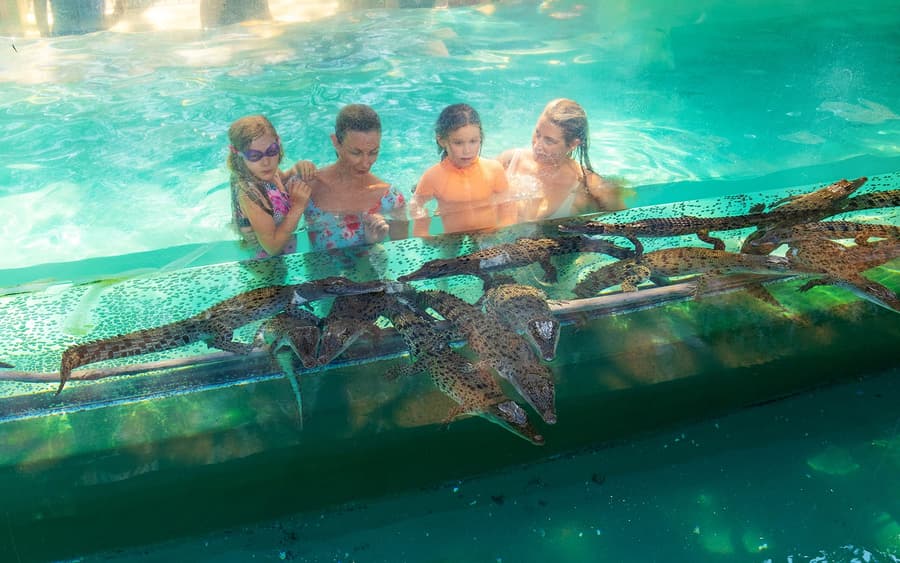 بسته اقتصادی خانواده: بلیط‌های Crocosaurus Cove