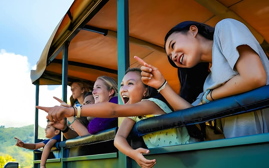 Kualoa Ranch: Jungle Expedition Tour