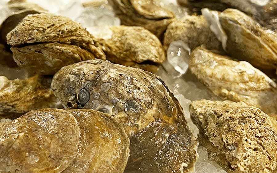 Southern And Secret Savannah: Food Tour