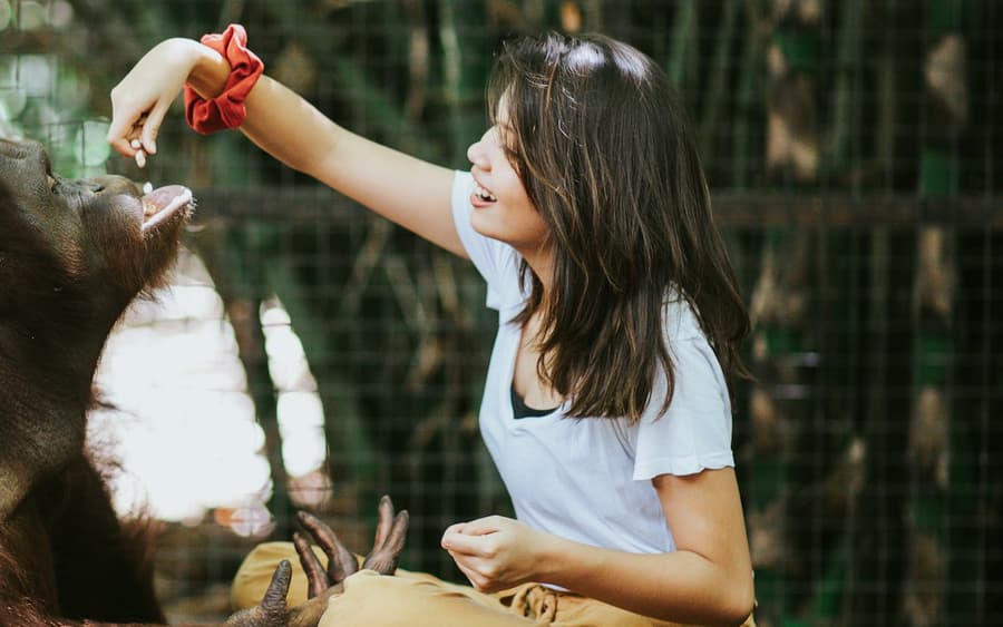 Lombok Wildlife Park: Intimate Wildlife Experience