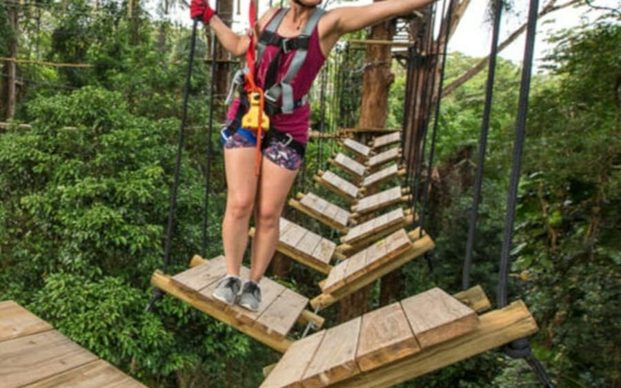 TreeTop Challenge Sunshine Coast: Admission Ticket