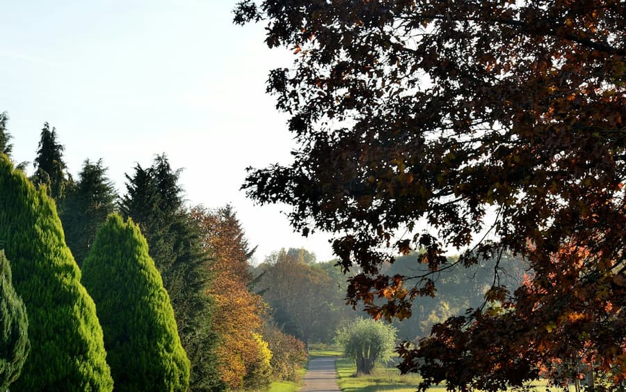 Arboretum de Chèvreloup: Entry Ticket