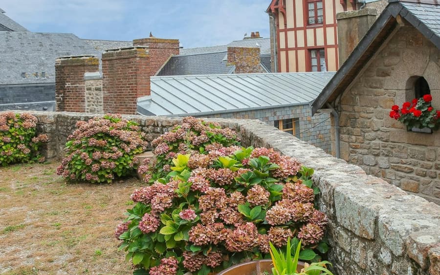 Mont Saint-Michel: Entry Ticket and Guided Tour + Transport from Paris