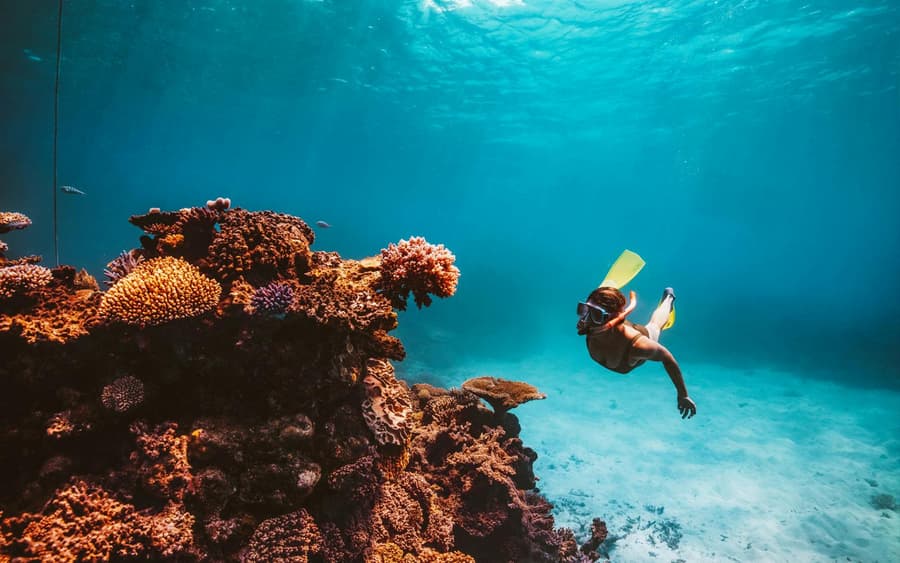 From Cairns: Dreamtime Dive & Snorkel Experience Tickets