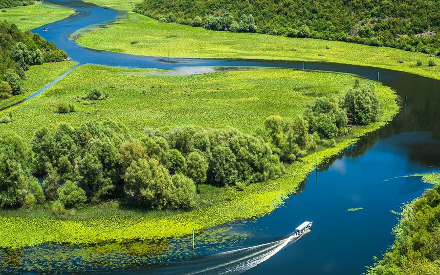 From Kotor/Budva/Tivat/Herceg Novi: Lake Skadar & Biograd Day Trip with Boat Ride