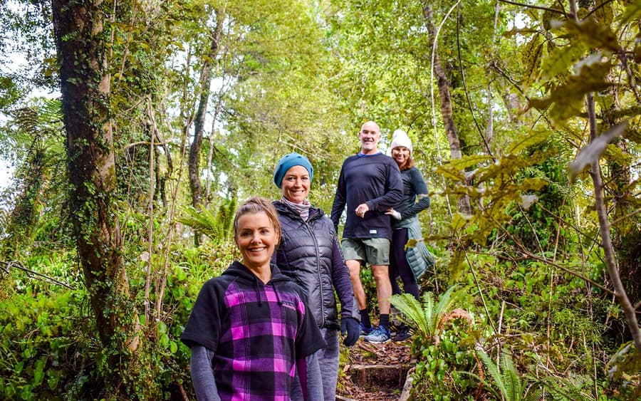 Franz Josef Scenic Cruise & Guided Rainforest Walk