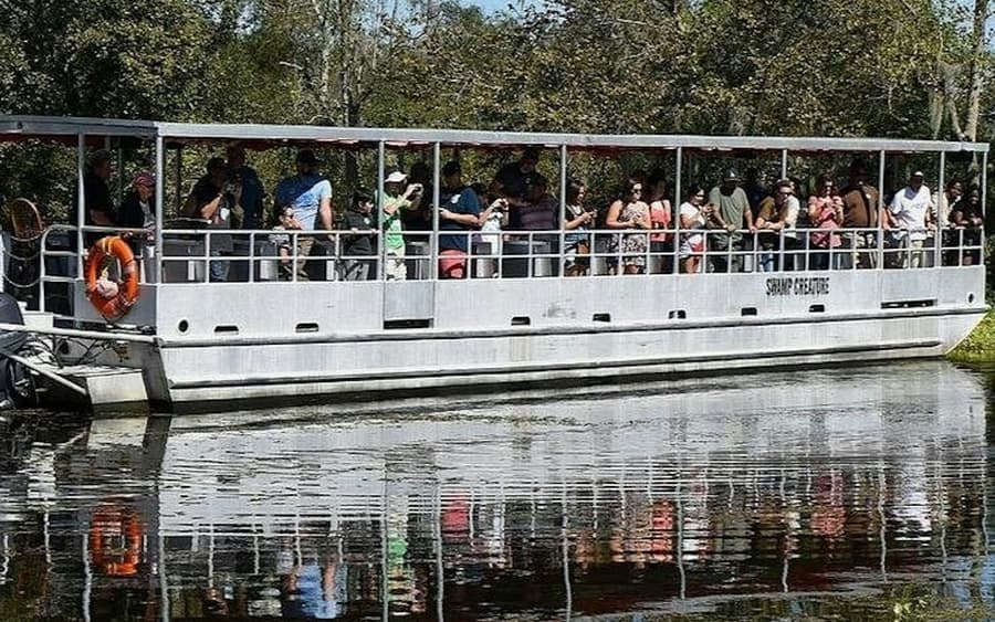 New Orleans: Guided Pontoon Boat Swamp Tour