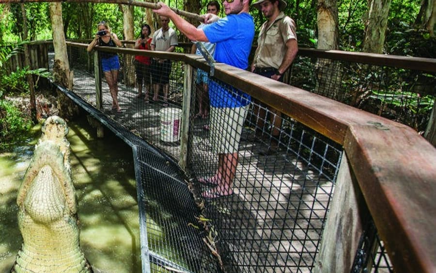 Hartley's Crocodile Adventures: Entry Ticket