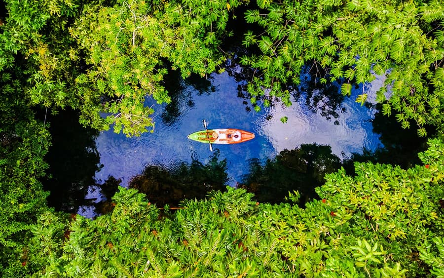 Krabi: Kayak Adventure through Ao Thalane Mangrove Forest