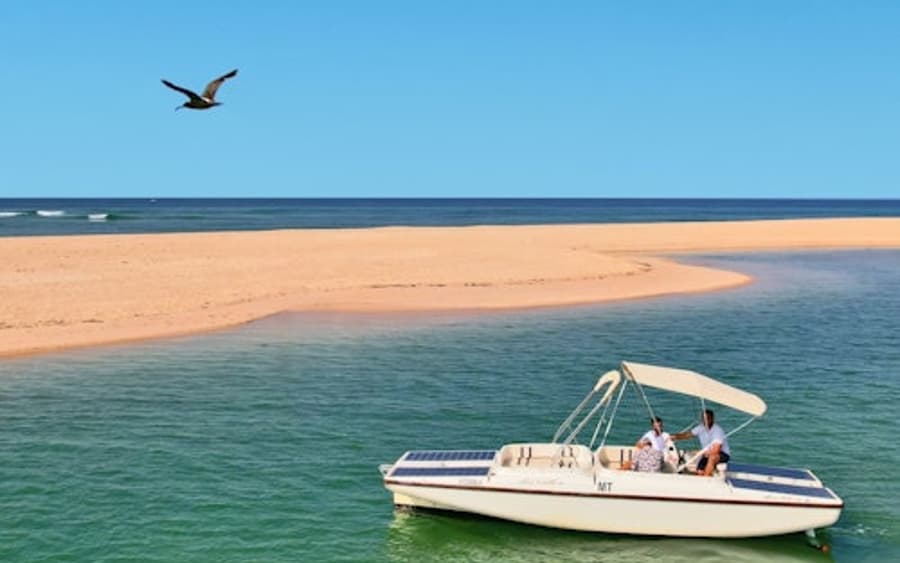 Ria Formosa: Ecological Boat Tour with Bird Watching from Faro