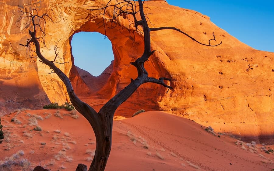 3.5 Hour Scenic & Cultural Tour of Lower Monument Valley