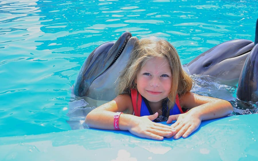 Hurghada Dolphin World Show & Meet-the-Dolphin Photo Experience with Transfers
