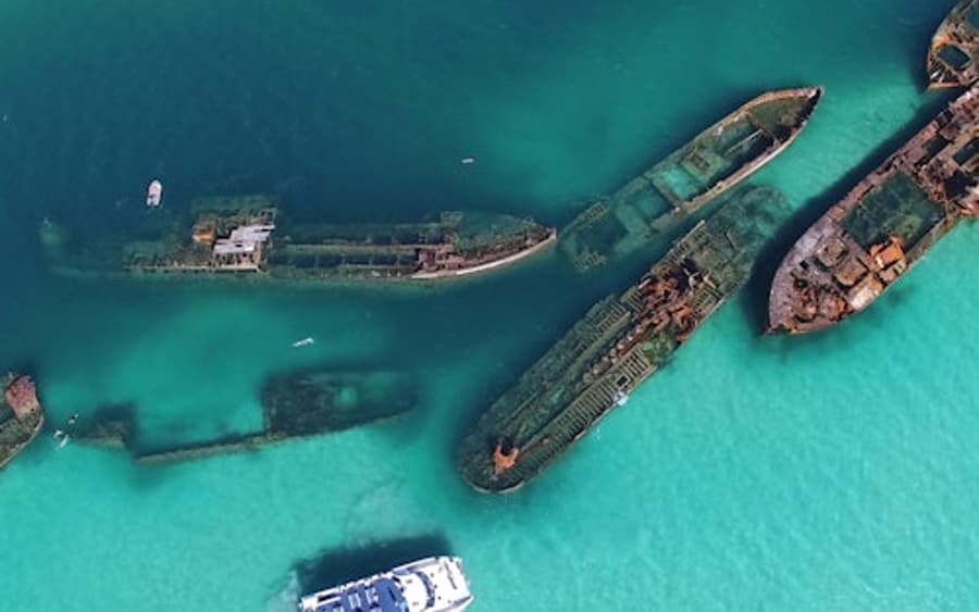 Круиз на Тангалума и круиз с дельфинами из Брисбена