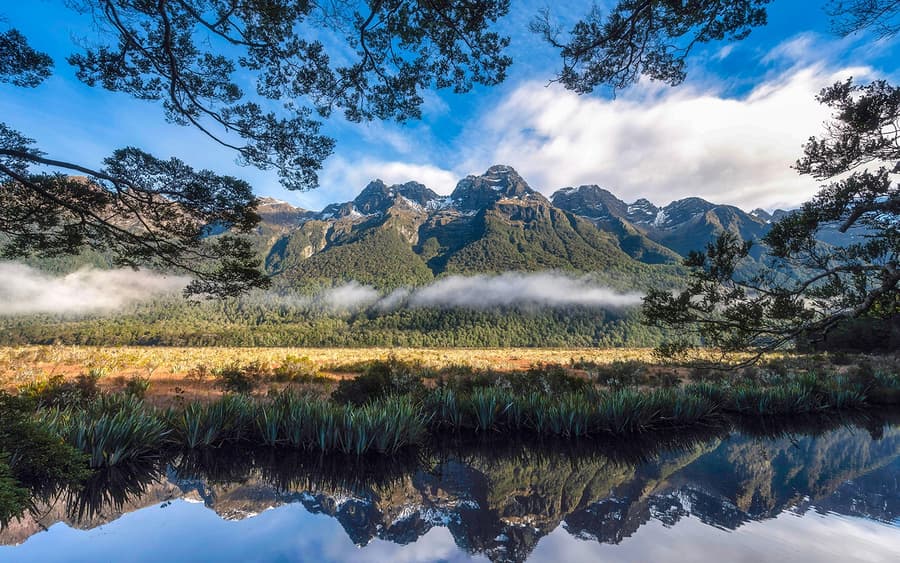 Desde Queenstown: Sobrevuelo Escénico y Crucero por Milford Sound