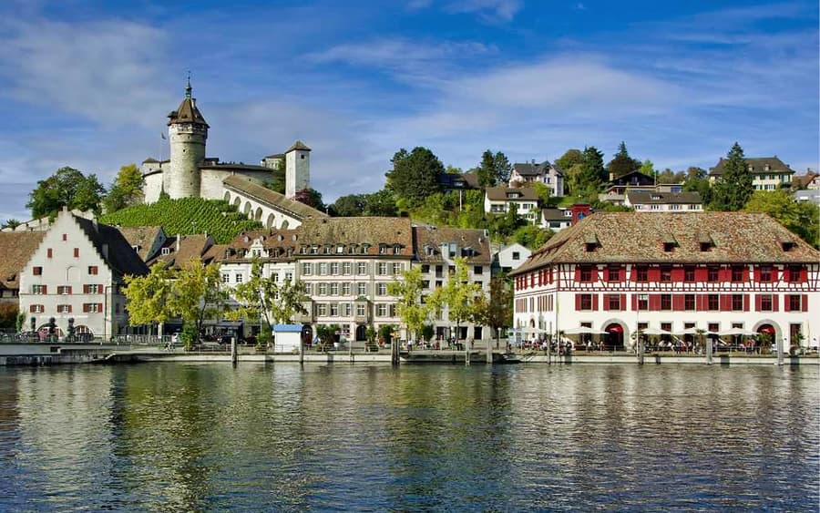 Lawatan Berpandukan 4 Jam ke Air Terjun Rhine & Istana Laufen dari Zürich