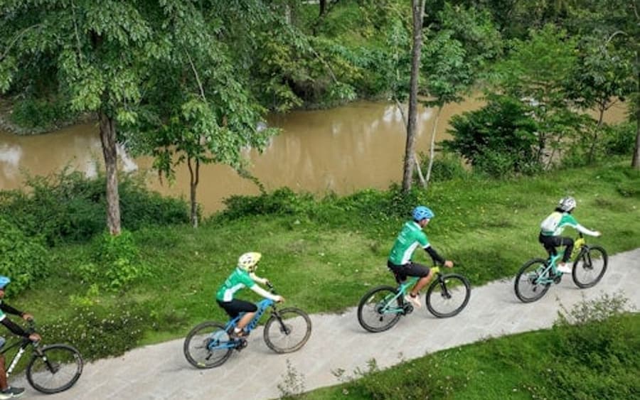 Siem Reap: Bike Day Trip + Theam's Gallery Entry Ticket