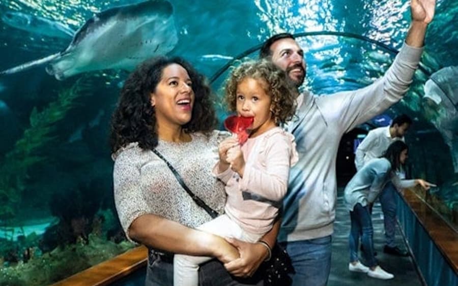 Loro Parque : Billet d'entrée + Pass Diamant