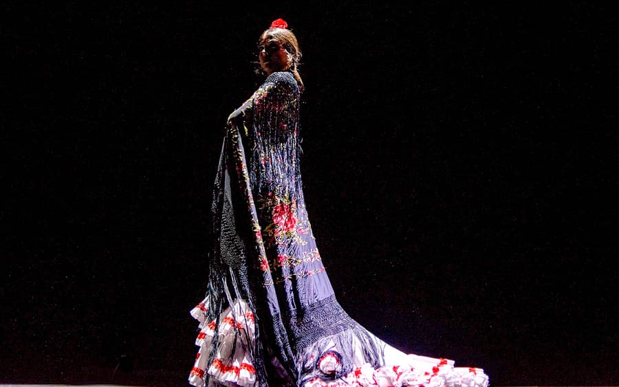 Seville Flamenco Theatre - Passion Show