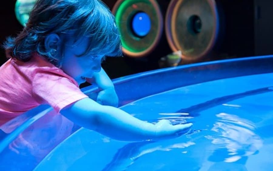 Biglietto d'ingresso per l'Acquario di Ripley a Myrtle Beach