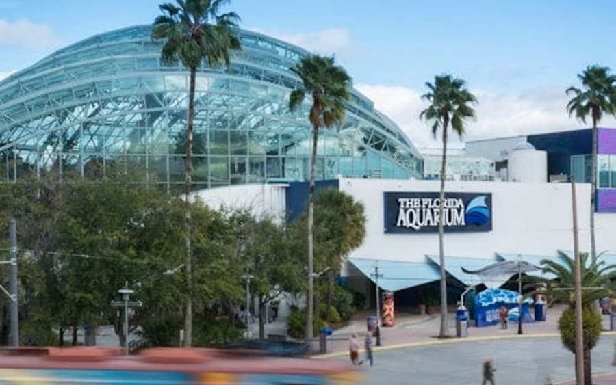 The Florida Aquarium: Entry Ticket