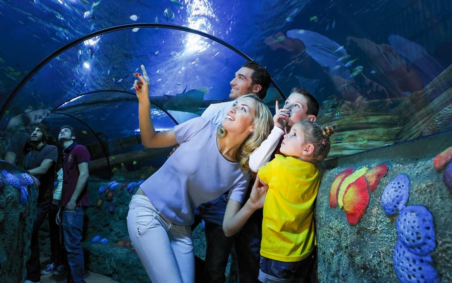 Gardaland Sea Life Aquarium Entry Tickets
