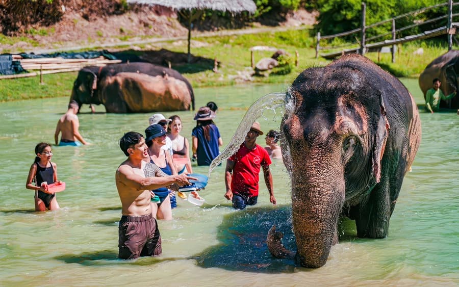 Phuket Elefantpleje - Halvdagsprogram