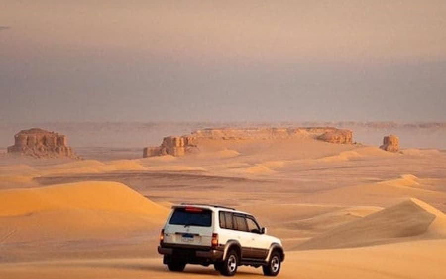 Wadi El Rayan: 4X4 Ørken Safari, Sandboarding & Kamelridning fra Cairo eller Giza