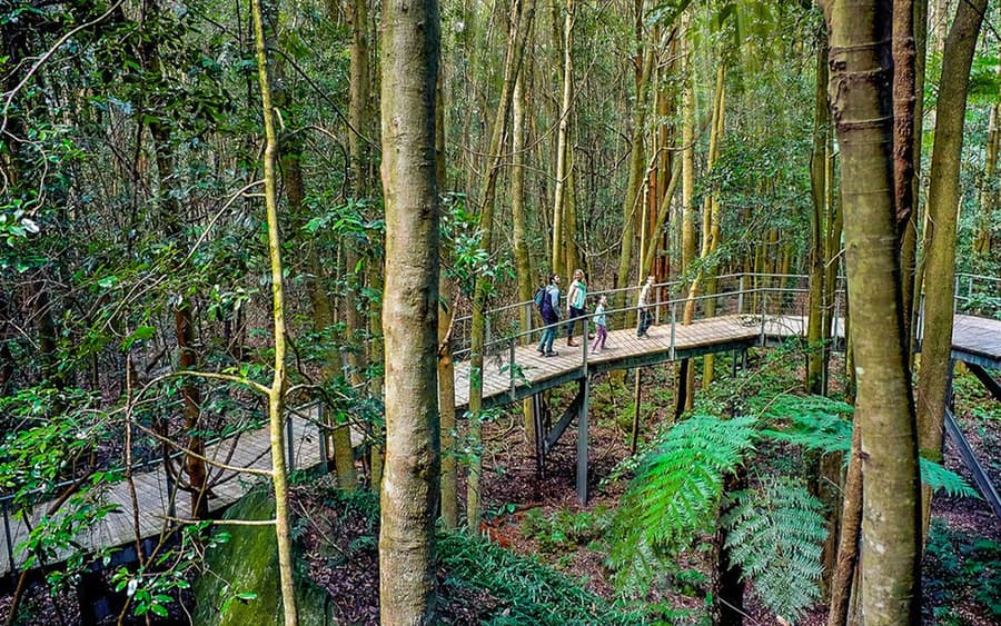 Пропуск в Синие горы Scenic World