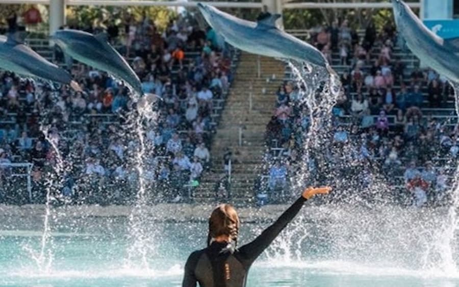 Bilhete de Entrada Diária para o Sea World
