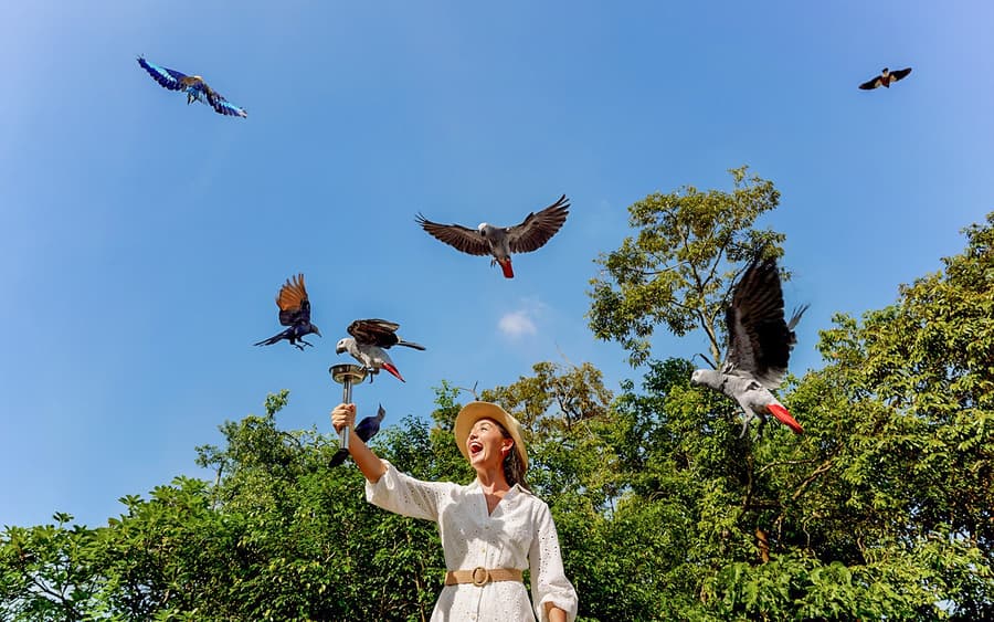 Mandai Wildlife Destination Pass