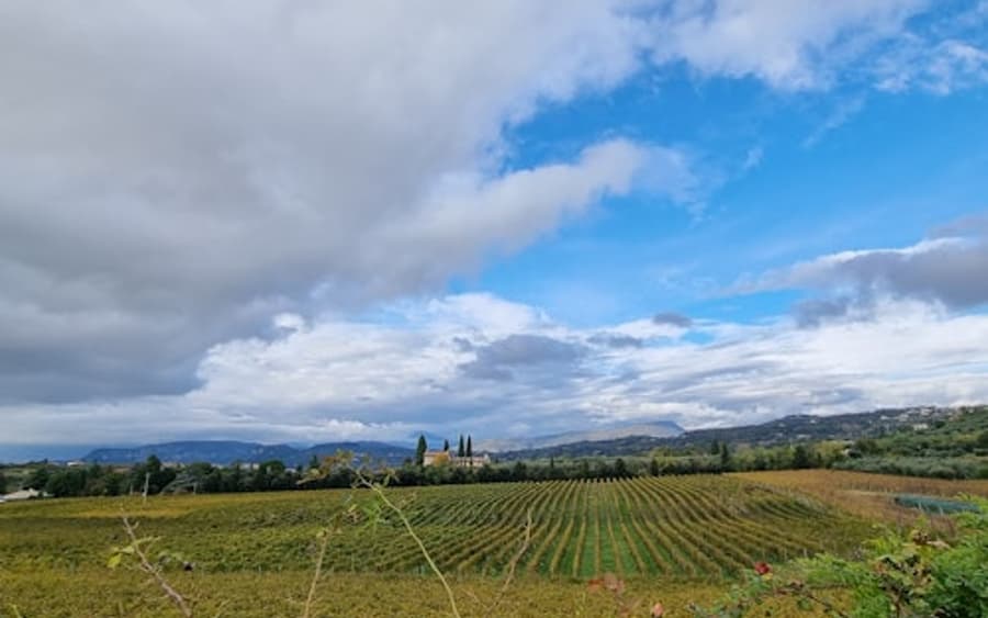 Lago de Garda: Degustación de vinos + Tour por el viñedo de Bardolino
