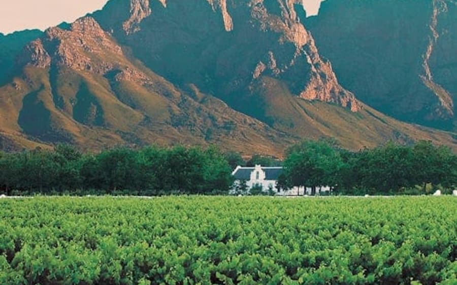 Winelands & Stellenbosch-Franschhoek: Private Wine Tasting Tour