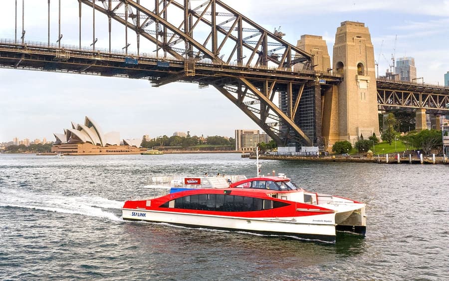 Sydney Whale Watching Cruise with 2-Day Hop-On Hop-Off Ferry Pass