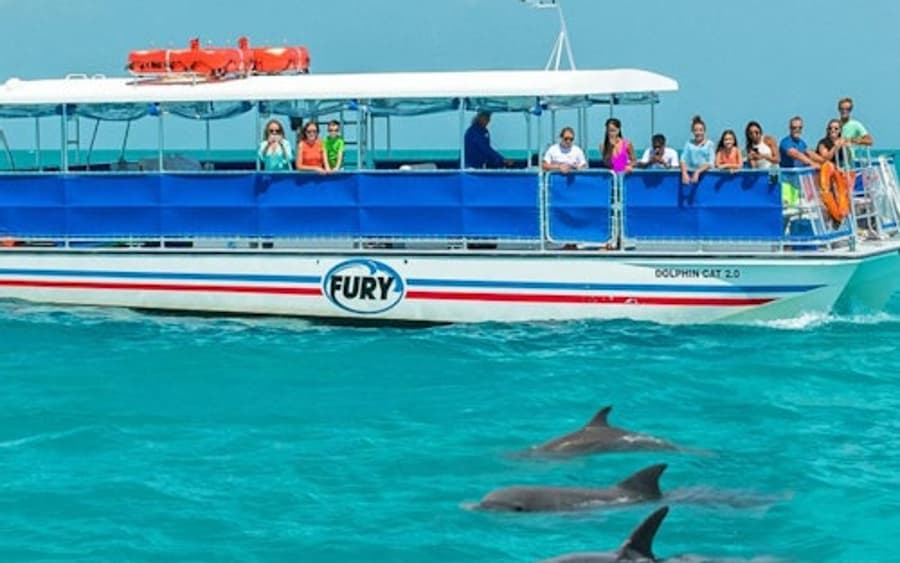 Cayo Hueso: Tour Ecológico para Avistamiento de Delfines