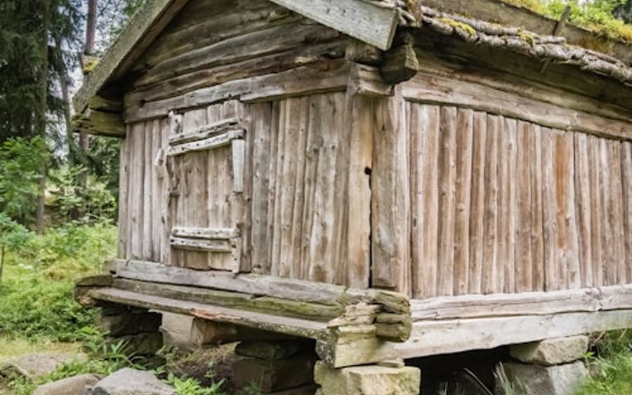Helsinki Sightseeing Tour & Seurasaari Open-Air Museum