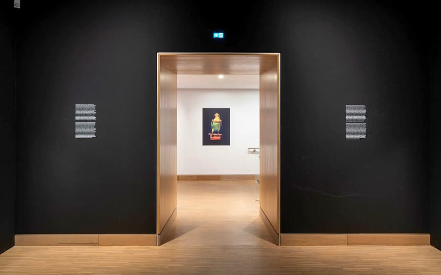 Albertina Modern Entry Tickets