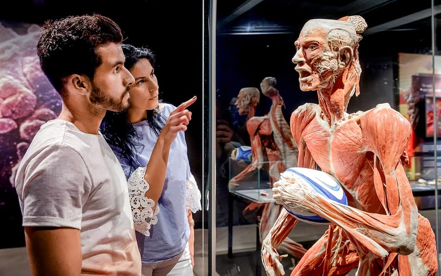 Berlin BODY WORLDS Museum Tickets