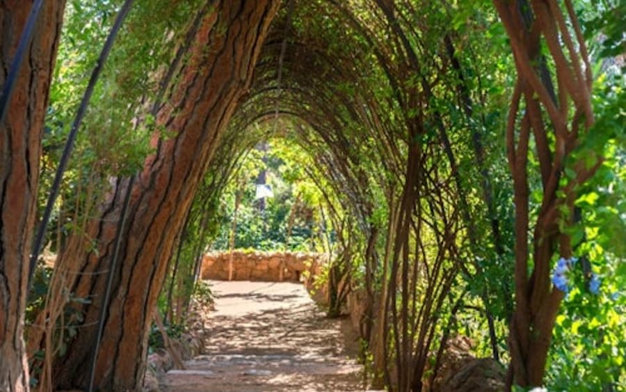 Park Güell & Gaudi House Museum: Entry Ticket + Audio Guide