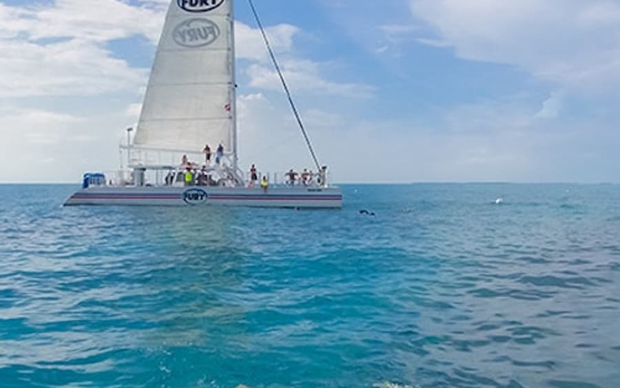 Cayo Hueso: Tour de Snorkel por la Mañana