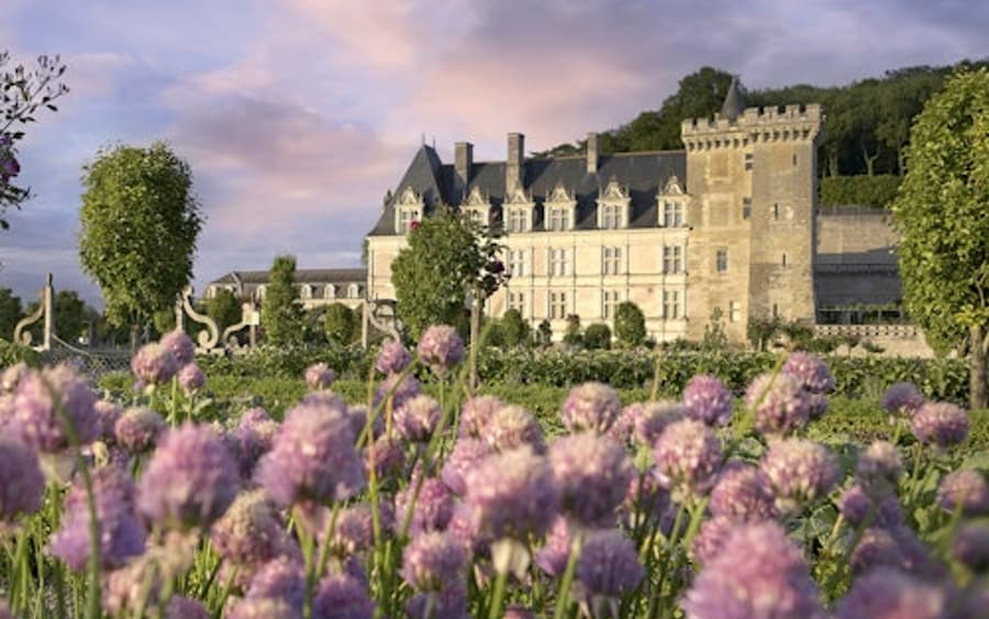 Vé vào cổng Château de Villandry