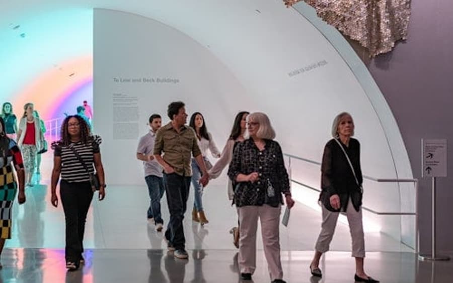 Muzeum Sztuk Pięknych w Houston: Bilet CAŁODOSTĘPOWY