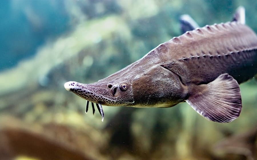 SEA LIFE München jegy