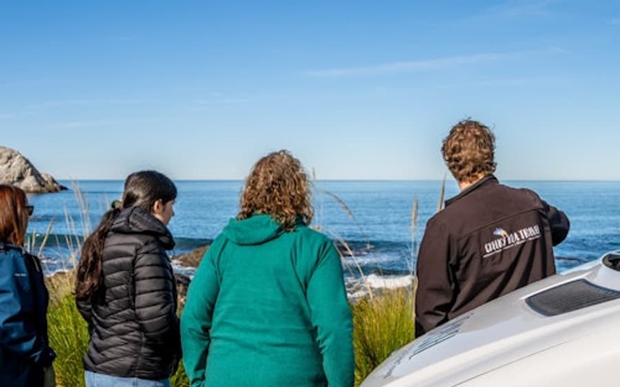 Kaikoura: Small-Group Guided Tour from Christchurch + Lunch