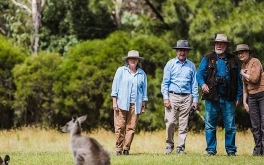 Canberra: Vezetett Vadállat Túra + Retúr Szállítás