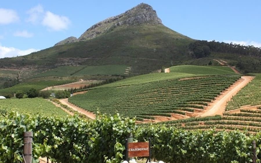 Stellenbosch & Franschhoek: Wine Tasting + Roundtrip Transfer From Cape Town