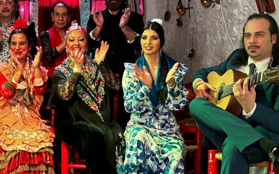 Höhlen von Sacromonte Los Tarantos: Flamenco-Show mit Getränk und optionalem Abendessen