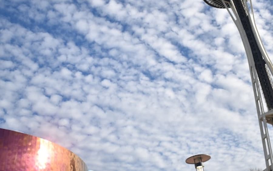 Seattle Center & Space Needle: Rehberli Yürüyüş Turu