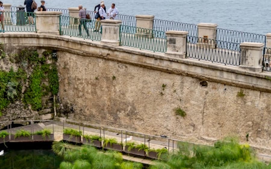 Siracusa, Ortigia & Noto: Excursie ghidată de o zi din Catania
